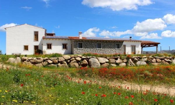 Tenute Testoni Agriturismo E B&B Bassacutena Buitenkant foto