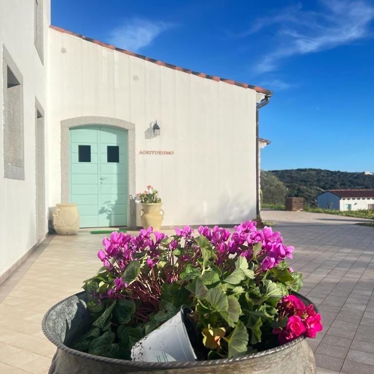 Tenute Testoni Agriturismo E B&B Bassacutena Buitenkant foto